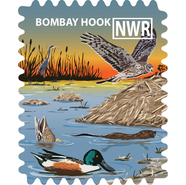Bombay Hook National Wildlife Refuge