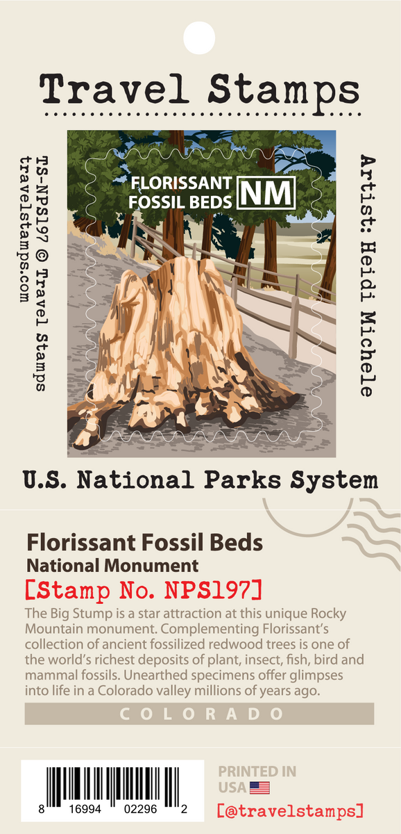 4B 　FOSSIL natural154cm カービング・バッジテスト Florissant Fossil Beds National Monument Travel Stamp – Travel Stamps