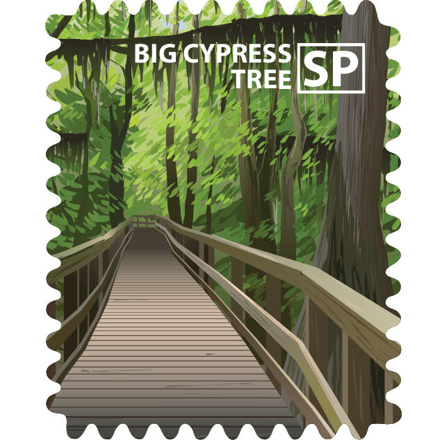 Big Cypress Tree State Park