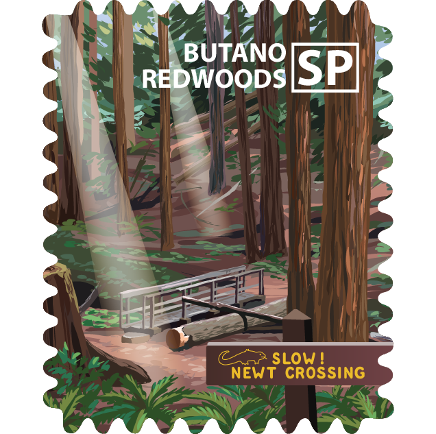 Butano Redwoods State Park