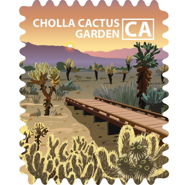 Joshua Tree NP - Cholla Cactus Gardens