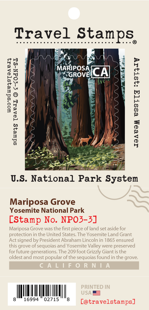 Yosemite NP - Mariposa Grove