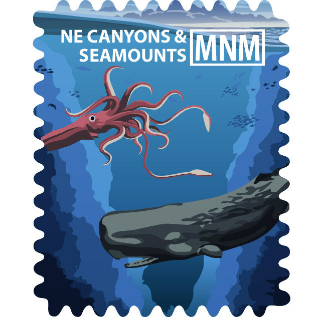 Northeast Canyons & Seamounts Marine National Monument