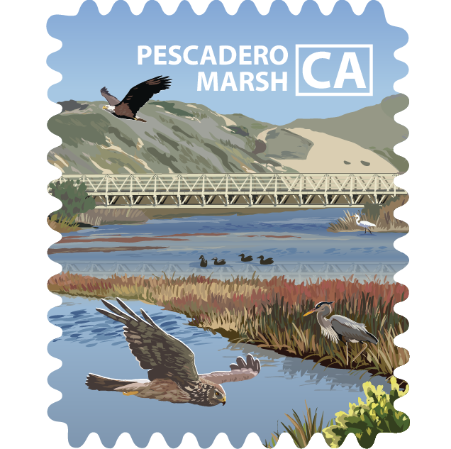 Pescadero Marsh Natural Preserve