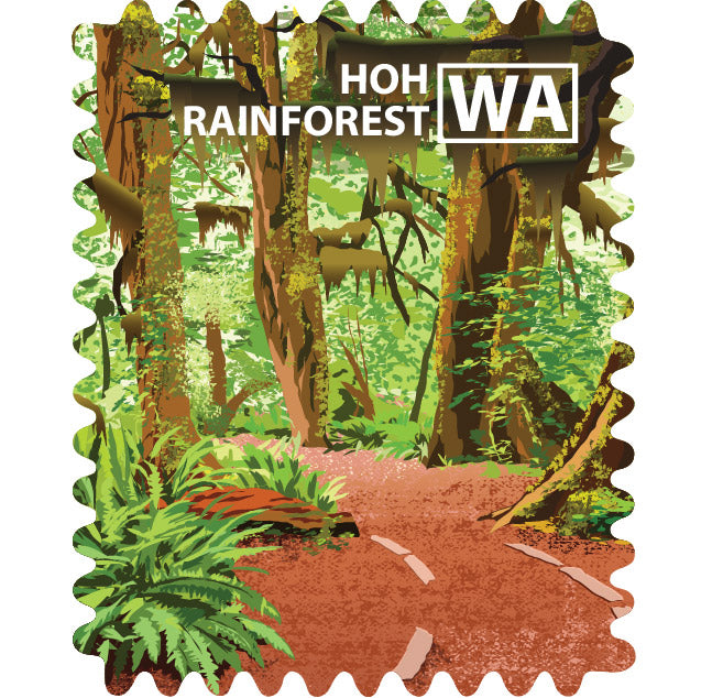 Olympic NP - Hoh Rainforest