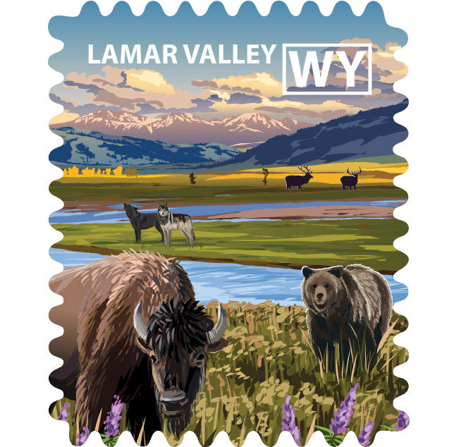 Yellowstone NP - Lamar Valley