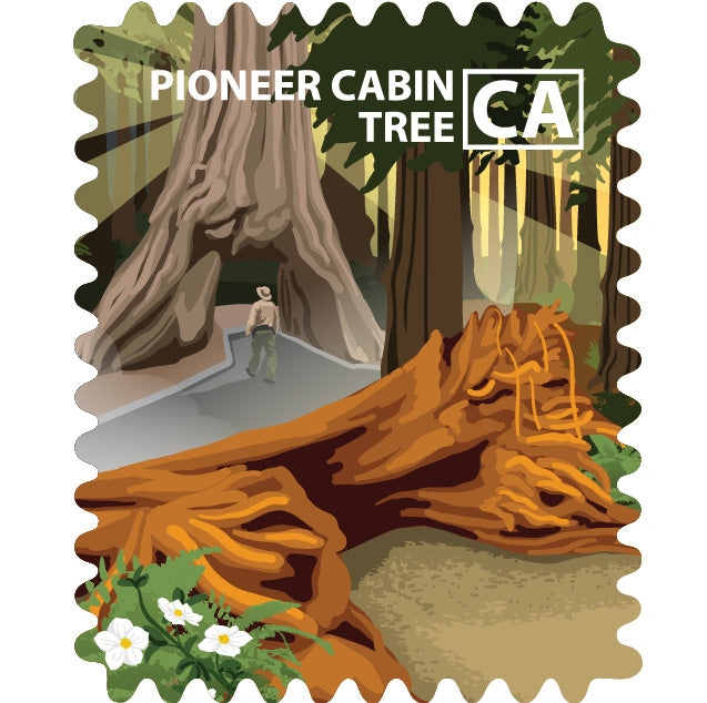 Calaveras Big Trees State Park - Pioneer Cabin Tree